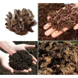 Bulk Manure