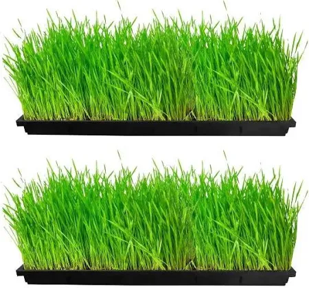 Micro Green Tray