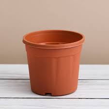 Pot